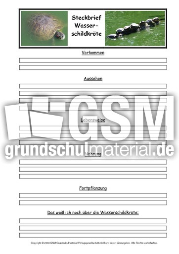 Wasserschildkröte-Steckbriefvorlage.pdf